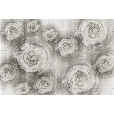 Anemone 02