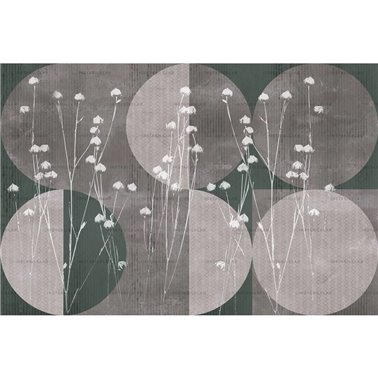 Circum 02