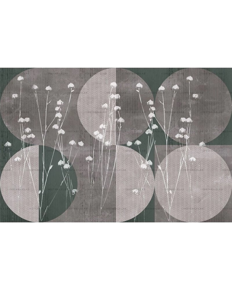 Circum 02 Circum 02