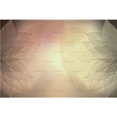 Dharma 01