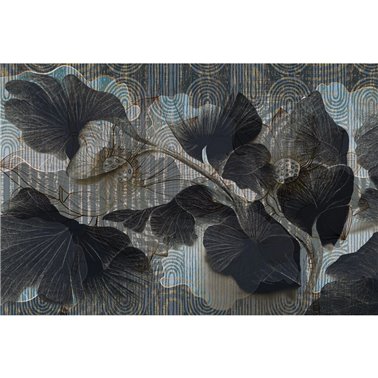 Foili 02