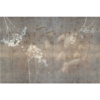 Lilibet 01