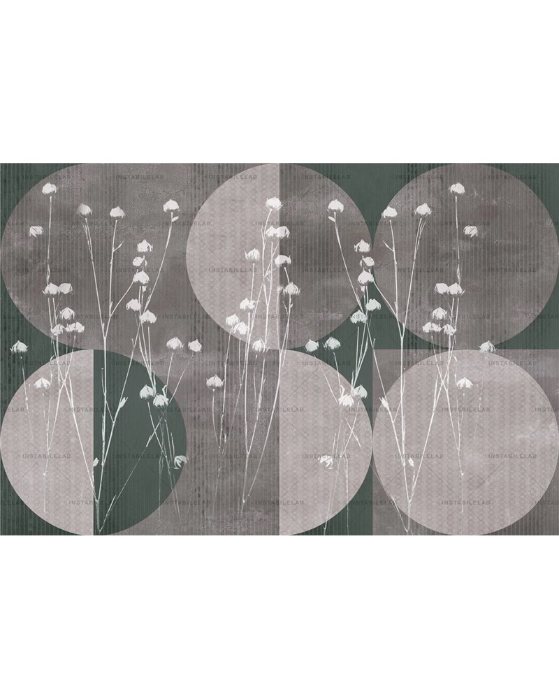 Circum 02