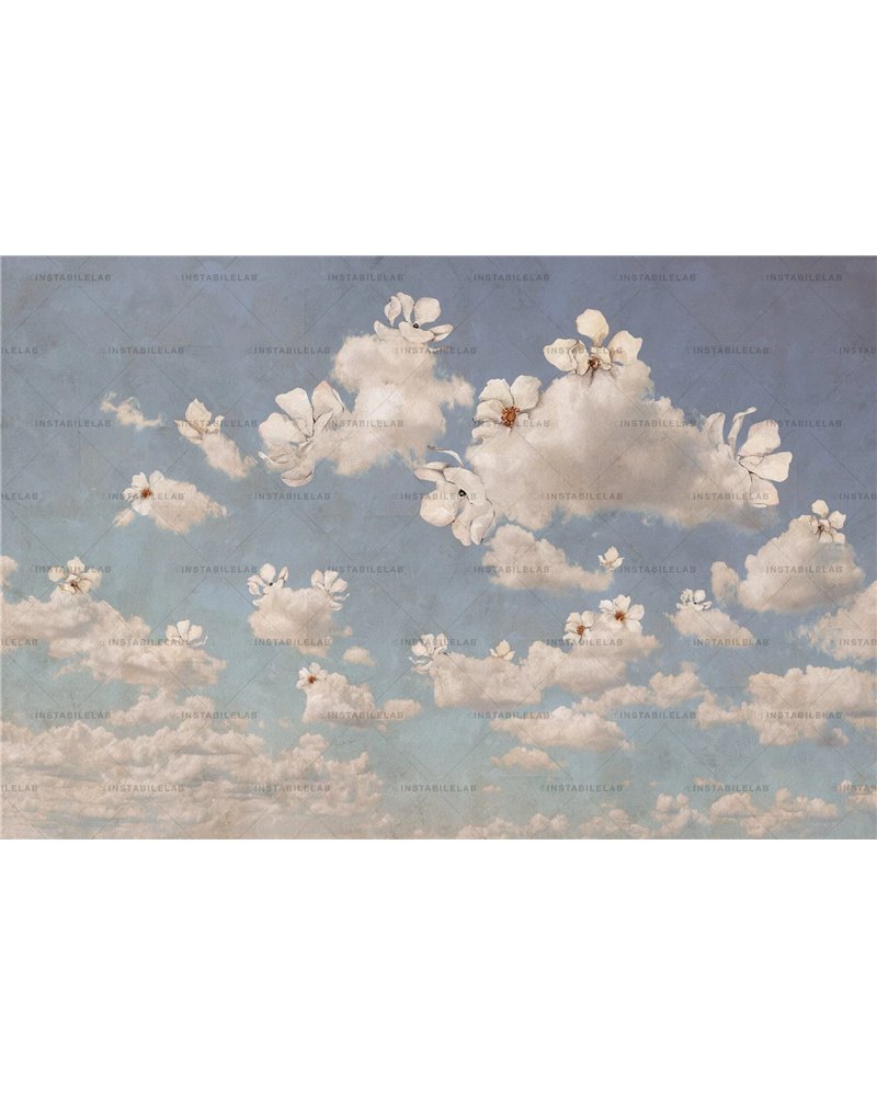 Clouwer 01