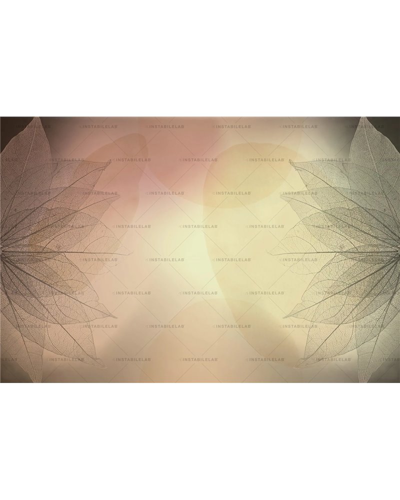 Dharma 01