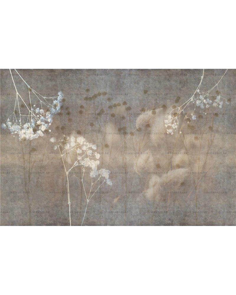 Lilibet 01
