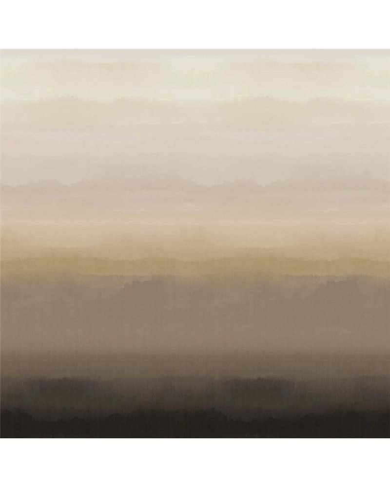 Hinode Cloud B00955 Hinode Cloud B00955