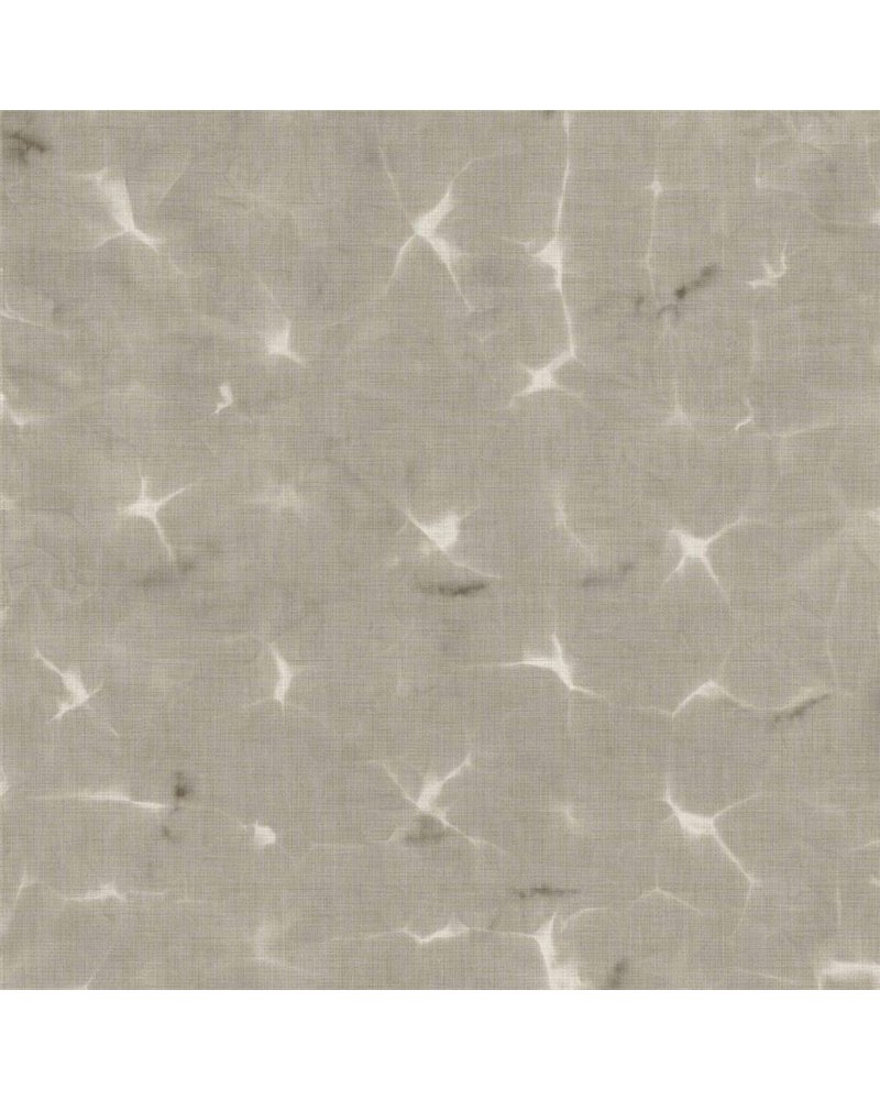 Kanoko Cloud B00911
