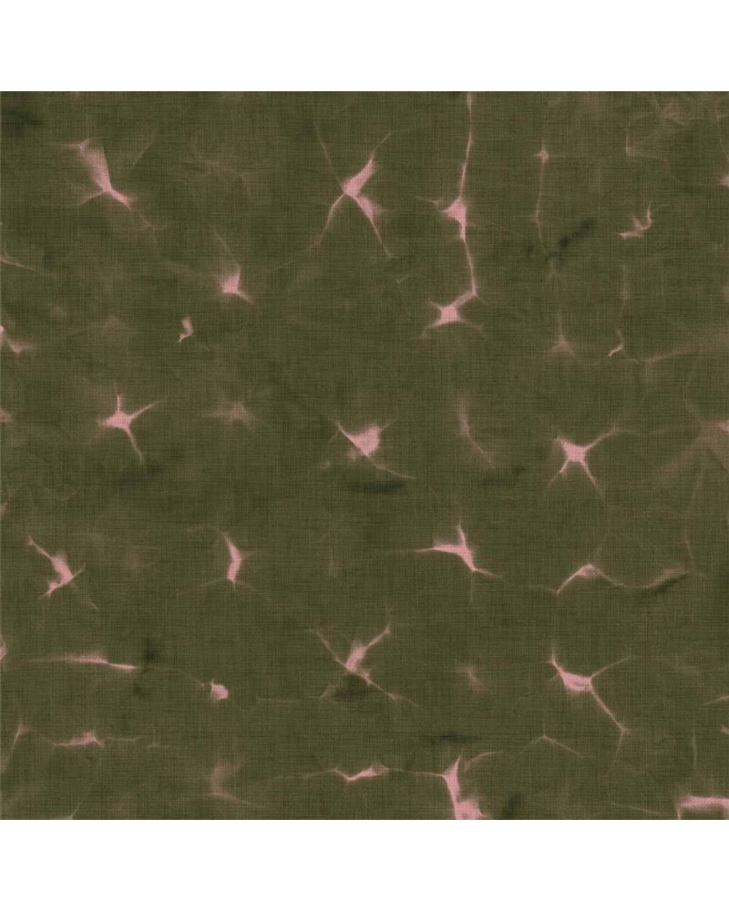 Kanoko Moss B00908 Kanoko Moss B00908