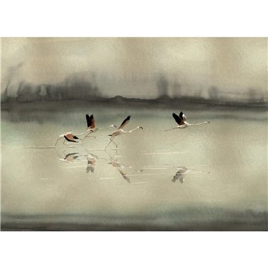 Doñana Gold B00818