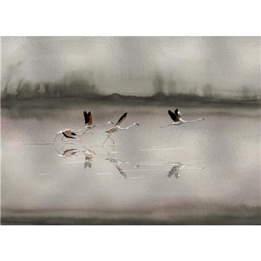 Doñana Silver B00819