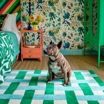 SOPHIE ROBINSON X HARLEQUIN