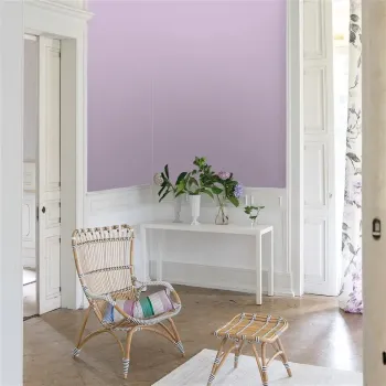IMG Pittura per interni