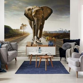 Animal Murals - Online Shop 