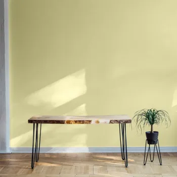 Collection Healthy ( Botánicos ) - Peintures Coordonne Eco Paints