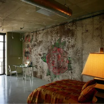 IMG DECORATIVES